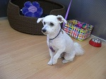 2012-09-19 14.24.17.jpg